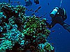 IMG_0933.JPG