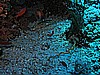 IMG_0936.JPG