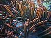 IMG_0949.JPG