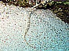 IMG_0954.JPG