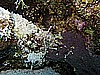 IMG_0956.JPG