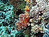 IMG_0959.JPG