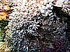 IMG_0960.JPG