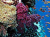 IMG_0961.JPG