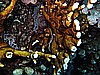 IMG_0963.JPG