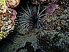 IMG_0965.JPG
