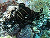 IMG_0968.JPG