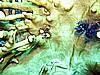 IMG_0982.JPG