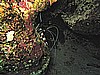 IMG_0985.JPG