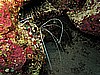 IMG_0986.JPG