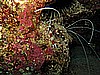 IMG_0987.JPG