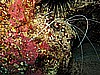 IMG_0988.JPG
