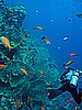 IMG_0992.JPG