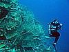 IMG_0993.JPG