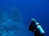 IMG_0996.JPG