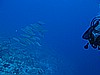 IMG_0999.JPG