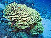 IMG_1004.JPG