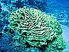 IMG_1005.JPG