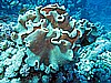 IMG_1006.JPG