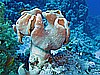 IMG_1007.JPG