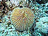 IMG_1009.JPG