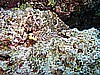 IMG_1011.JPG