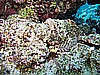 IMG_1012.JPG