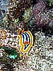 IMG_1014.JPG