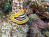 IMG_1015.JPG