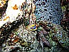 IMG_1016.JPG