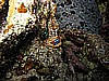 IMG_1017.JPG