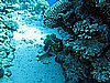 IMG_1022.JPG