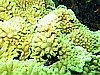 IMG_1023.JPG