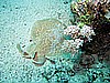 IMG_1030.JPG