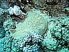 IMG_1034.JPG