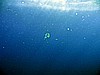 IMG_1035.JPG