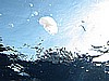 IMG_1037.JPG