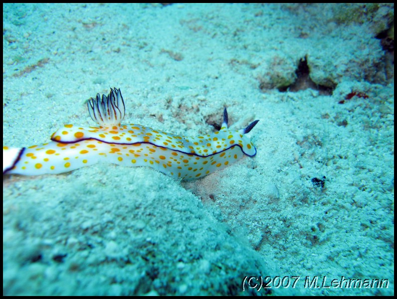 IMG_1048.JPG