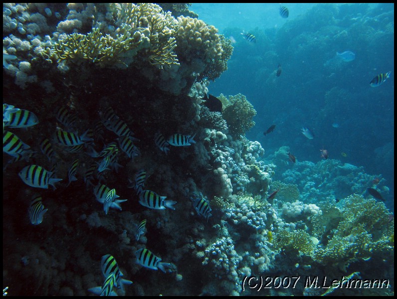 IMG_1123.JPG