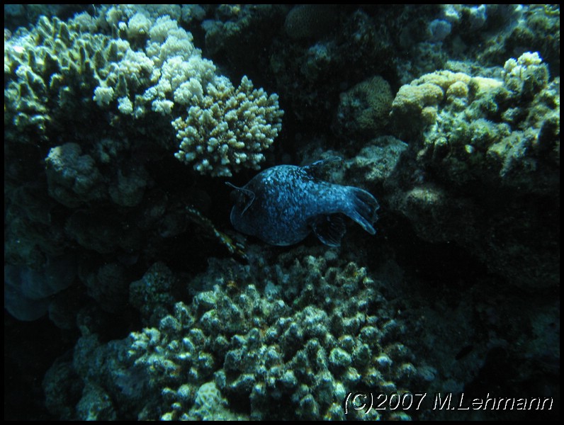 IMG_1161.JPG