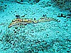 IMG_1046.JPG