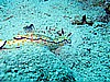 IMG_1048.JPG