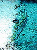 IMG_1051.JPG