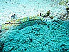 IMG_1052.JPG