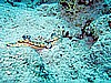 IMG_1054.JPG