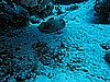 IMG_1055.JPG