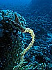 IMG_1062.JPG
