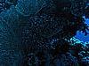 IMG_1072.JPG
