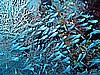 IMG_1076.JPG