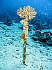 IMG_1080.JPG